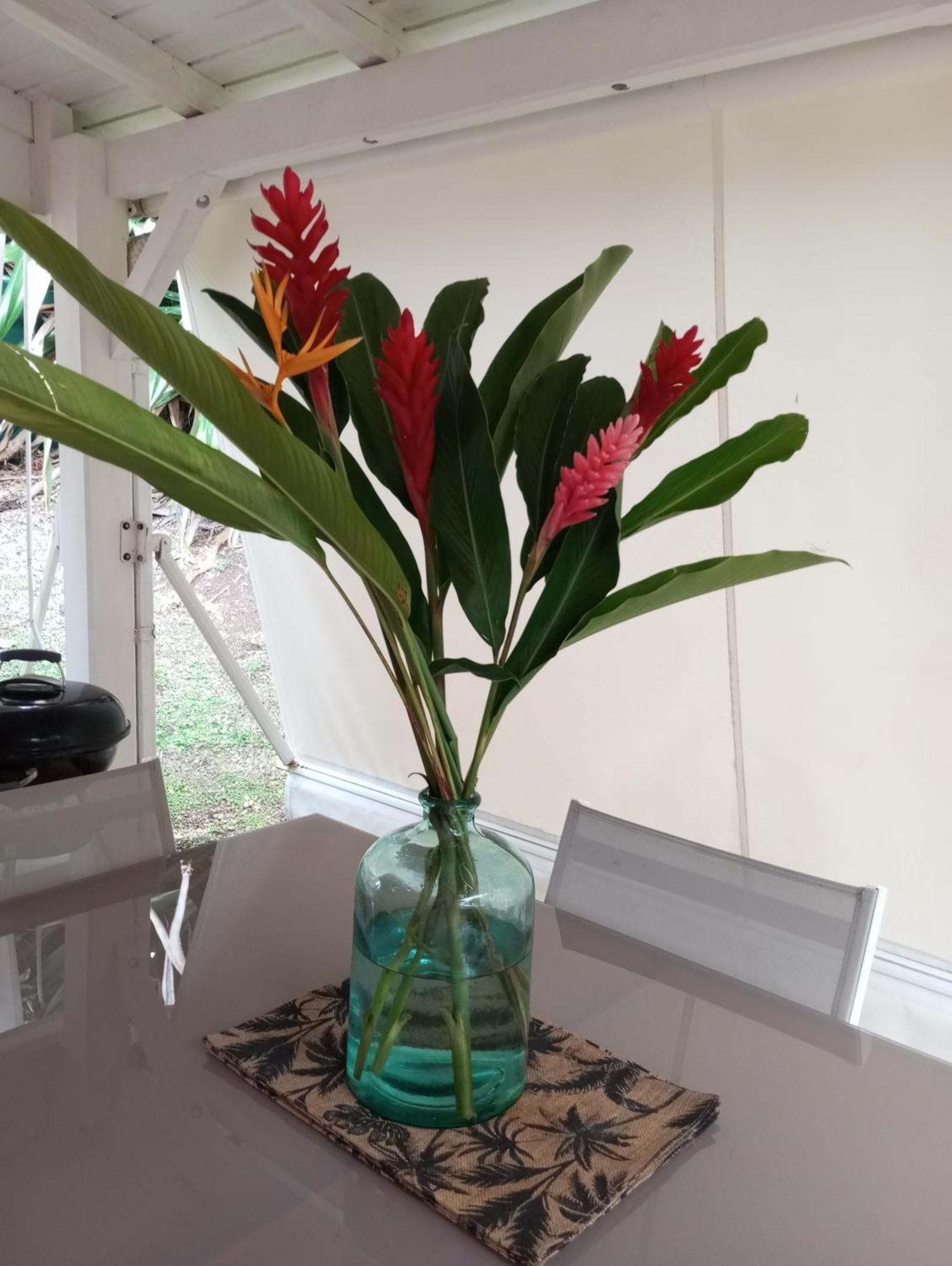Bungalow Broceliande لو جوسيير المظهر الخارجي الصورة